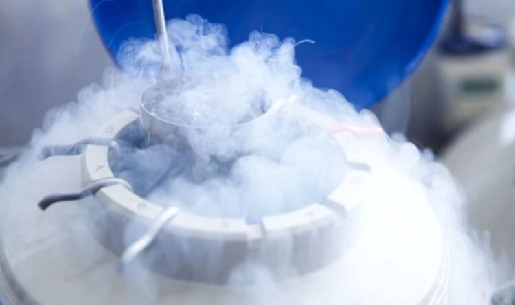 Dünyanın en yaşlı bebekleri dünyaya geldi