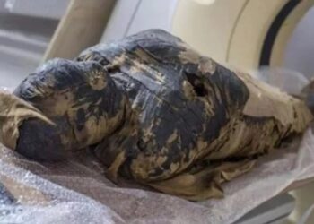 Dünyanın ilk hamile mumyasının yüzü canlandırıldı