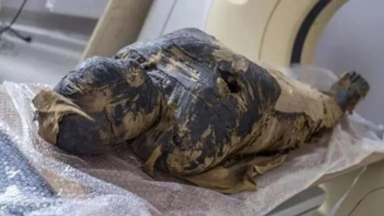 Dünyanın ilk hamile mumyasının yüzü canlandırıldı