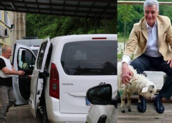 Soylu’nun kuzenini öldüren sanığa müebbet istemi