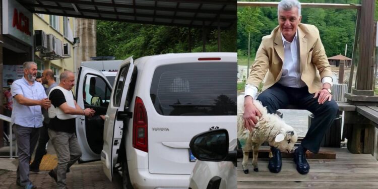 Soylu’nun kuzenini öldüren sanığa müebbet istemi