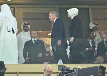 Erdoğan, Dünya Kupası şampiyonu Arjantin’i tebrik etti