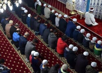 Müftüden dikkat çeken fetva: Zebra eti helal