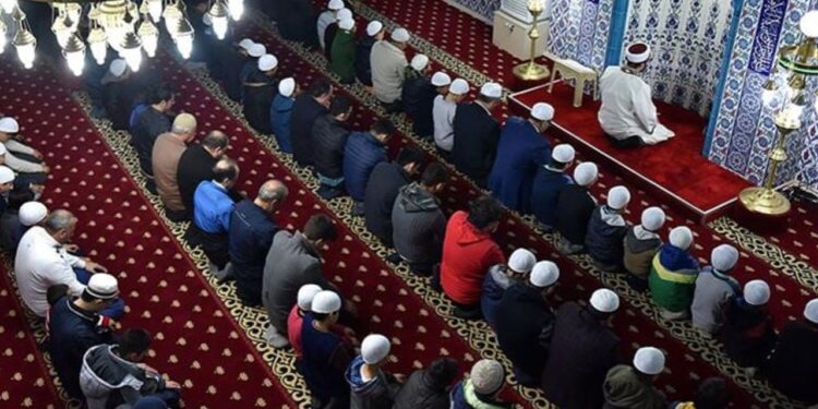 Müftüden dikkat çeken fetva: Zebra eti helal