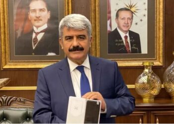 10 günde hem Cumhurbaşkanı Başdanışmanı hem de YÖK üyesi oldu