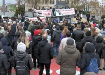 Kadıköy’de sokak hayvanları için eylem