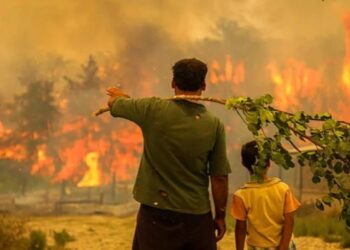 Manavgat orman yangını davasında karar