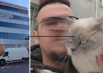 Bu defa iş yeri… Patron tuvalete kamera yerleştirdi, 285 video kaydı çıktı!