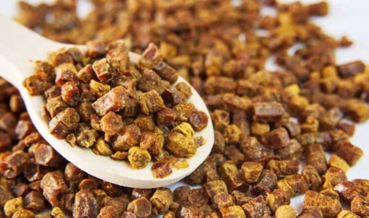 Uzmanlarından diyabet hastalarına ‘arı ekmeği’ tavsiyesi