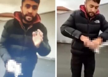 Güvercini başını koparıp öldürdü… İşte verilen ceza