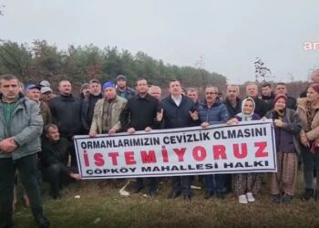Edirne’de ormanın özel bir şirkete verilmesine tepki