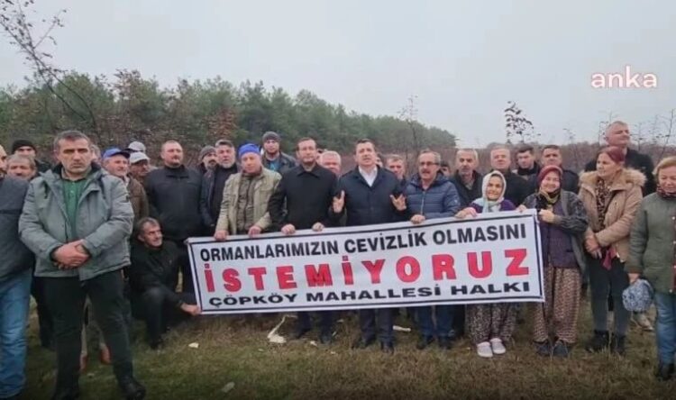 Edirne’de ormanın özel bir şirkete verilmesine tepki