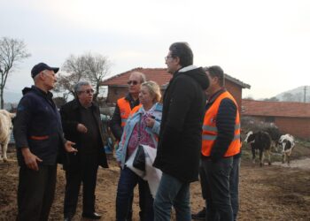 Vatandaş böyle isyan etti: Bir balya saman 120 lira!