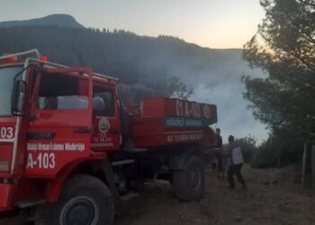 Osmaniye’de orman yangını