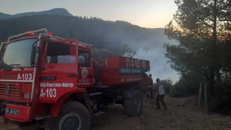 Osmaniye’de orman yangını