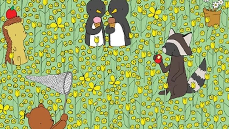 Sosyal medyada popüler olan IQ testi: 10 saniye de dahi misin öğreneceksin