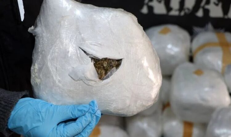 TIR’dan 87 kilo esrar çıktı, ‘Hepsi benim’ dedi