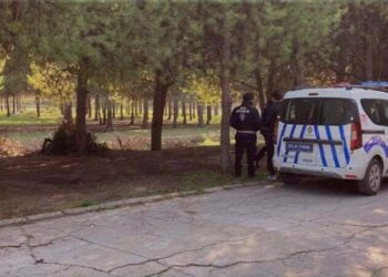 22 yaşındaki kişi ormanlık alanda ölü bulundu