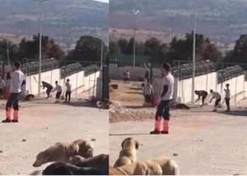 Konya’daki ‘kürekli’ vahşette ilk duruşmada ‘tahliye’ kararı!