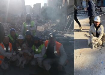 Madenciler, enkaz altındaki köpeği 204’üncü saatte kurtardı