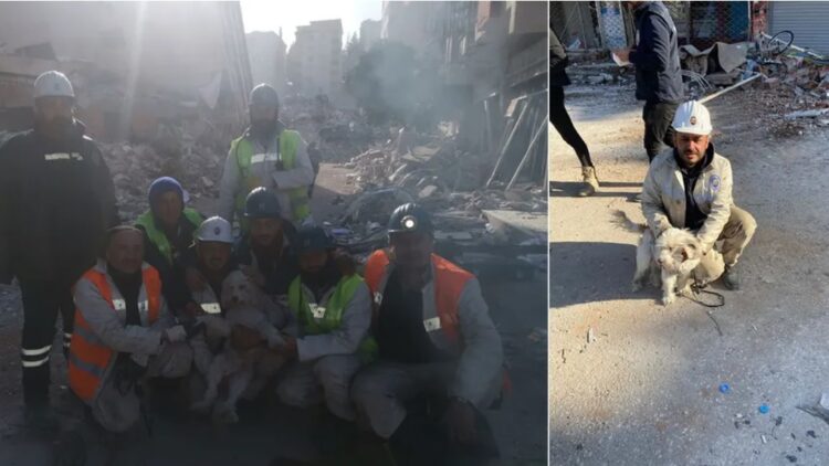 Madenciler, enkaz altındaki köpeği 204’üncü saatte kurtardı
