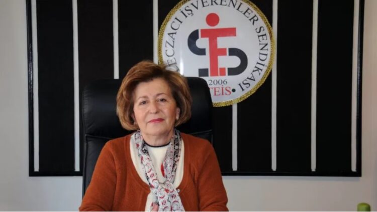 TEİS Başkanı: Ayakta kalan eczanelerimiz yağmalandı, koruyamadık