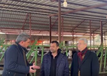 Depremzede: “Kendi çabamızla dışarıdan yem tedarik ettik, AFAD, önünü kesip İl Tarım Müdürlüğü’ne teslim etti”