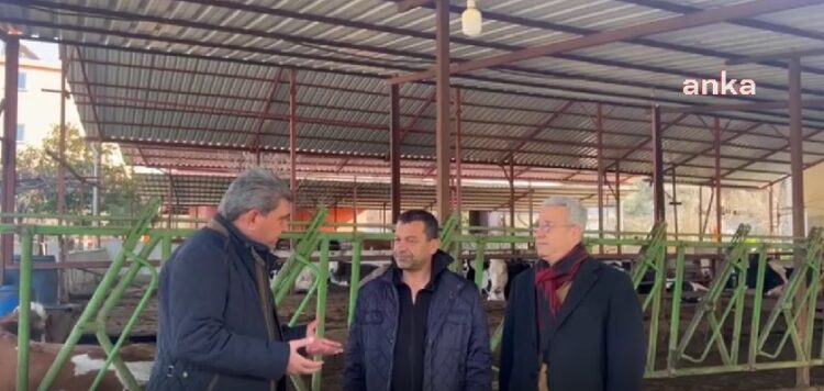 Depremzede: “Kendi çabamızla dışarıdan yem tedarik ettik, AFAD, önünü kesip İl Tarım Müdürlüğü’ne teslim etti”