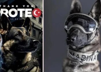 Proteo’nun Sarıyer’e heykeli dikilecek