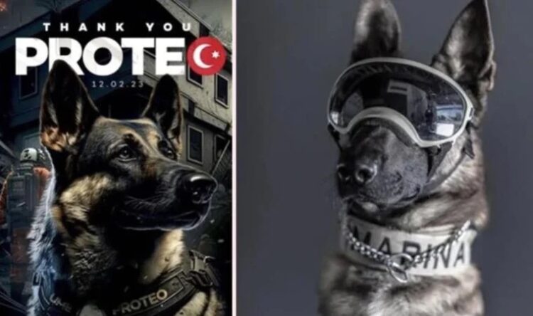 Proteo’nun Sarıyer’e heykeli dikilecek