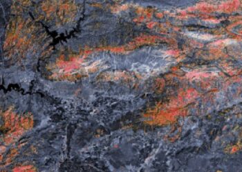 NASA, Türkiye’nin hasar haritasını yayınladı