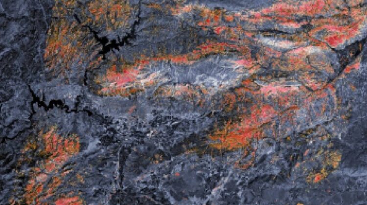 NASA, Türkiye’nin hasar haritasını yayınladı