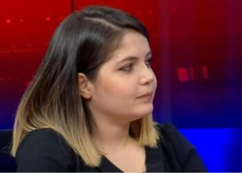 Gazeteci Seyhan Avşar’a soruşturma