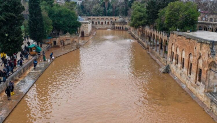 Sel felaketinde taşan Balıklıgöl’deki balıklarla ilgili açıklama
