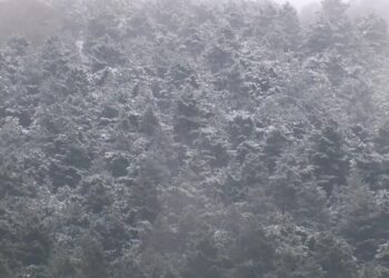 İstanbul’un yüksek kesimlerine kar yağdı
