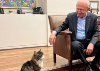 Kılıçdaroğlu ‘Şero’ya söz verdi