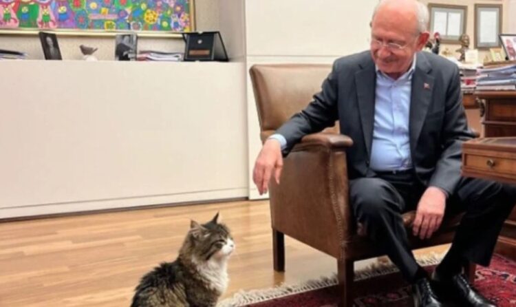 Kılıçdaroğlu ‘Şero’ya söz verdi