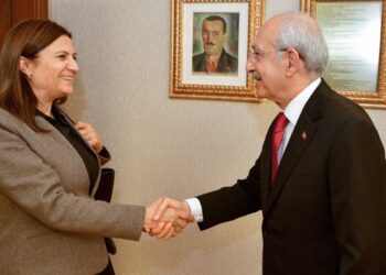 CHP’ye katılan Türkan Elçi’den eleştirilere yanıt