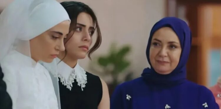 RTÜK, Kızılcık Şerbeti dizisine inceleme başlattı