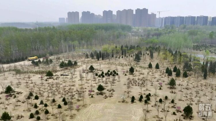 Cumhurbaşkanı Xi’den ağaçlandırma kampanyasına vurgu