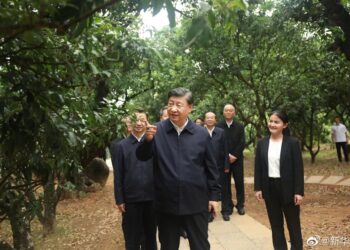 Cumhurbaşkanı Xi, köylülere zenginleşme yöntemlerini tanıttı