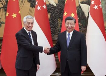 Çin Cumhurbaşkanı Xi, Singapur Başbakanı Lee ile görüştü