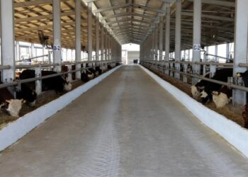 Tarım ve Orman Bakanı’ndan şap hastalığı açıklaması