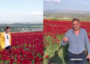 Tarlasına izinsiz giren Gülben Ergen’e tepki