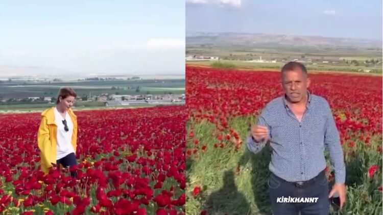 Tarlasına izinsiz giren Gülben Ergen’e tepki
