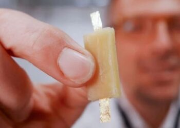 Dünyada bir ilk…’Tamamen yenilebilen pil’ üretildi