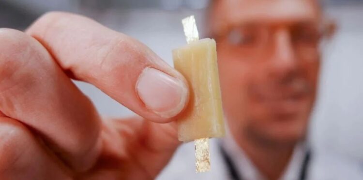 Dünyada bir ilk…’Tamamen yenilebilen pil’ üretildi