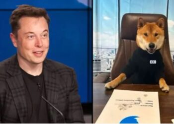 Elon Musk köpeğini Twitter’a CEO olarak atadı