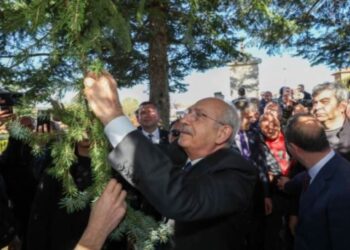 Kılıçdaroğlu marteniçkasını ağaca bağladı