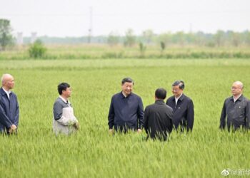Xi Jinping’den tahıl ve enerji güvenliği vurgusu